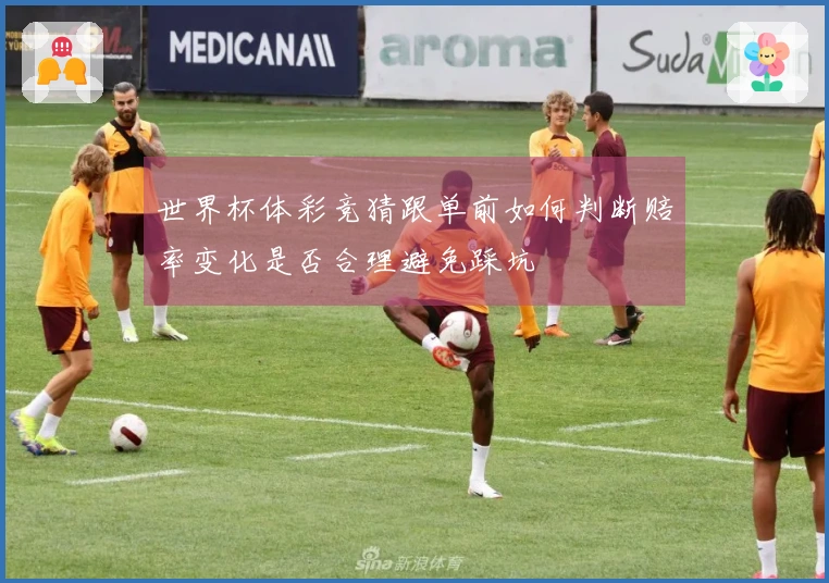 世界杯体彩竞猜跟单前如何判断赔率变化是否合理避免踩坑