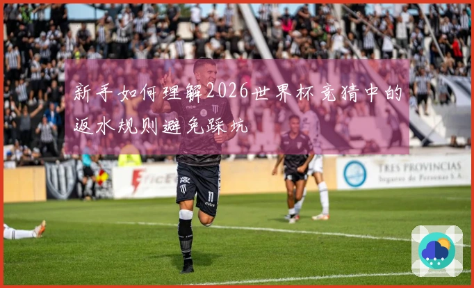 新手如何理解2026世界杯竞猜中的返水规则避免踩坑