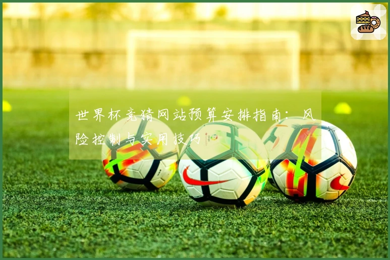 世界杯竞猜网站预算安排指南：风险控制与实用技巧
