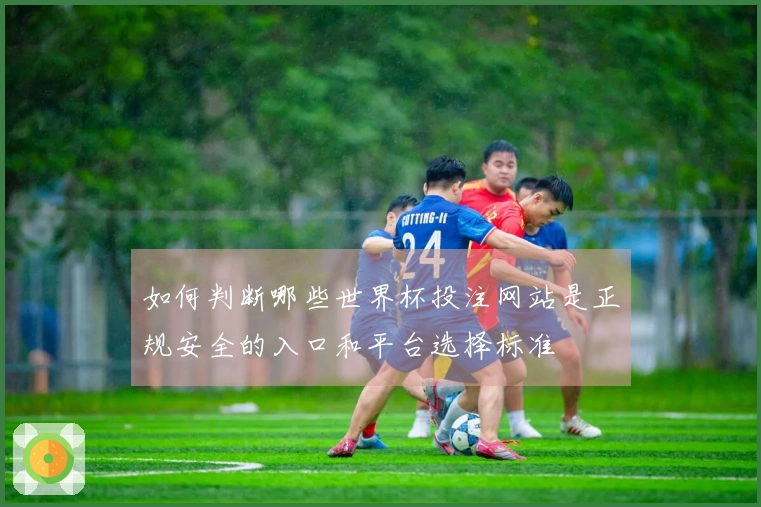 如何判断哪些世界杯投注网站是正规安全的入口和平台选择标准