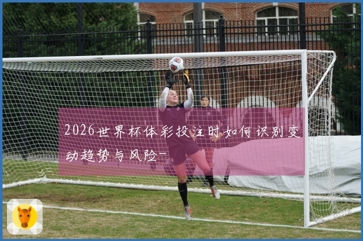 2026世界杯体彩投注时如何识别变动趋势与风险-